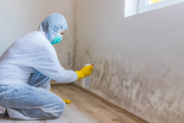 Bathroom Mold Removal assessment in Edwardsburg bathroom